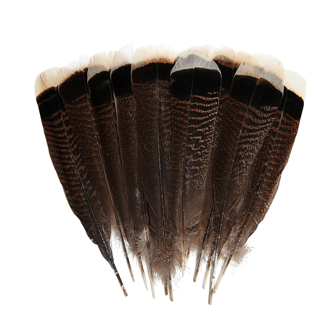 Single Feathers