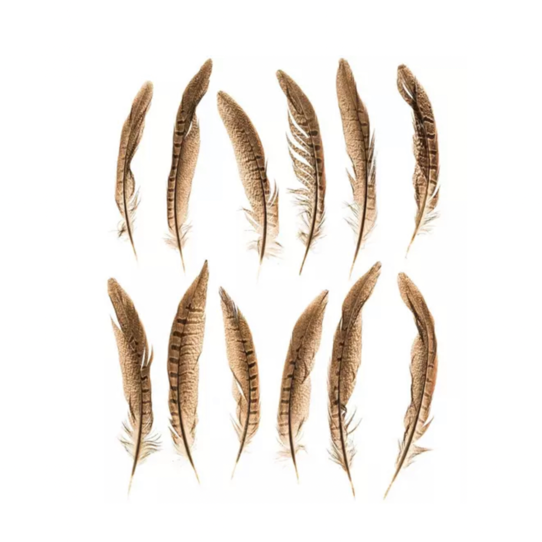 Single Feathers