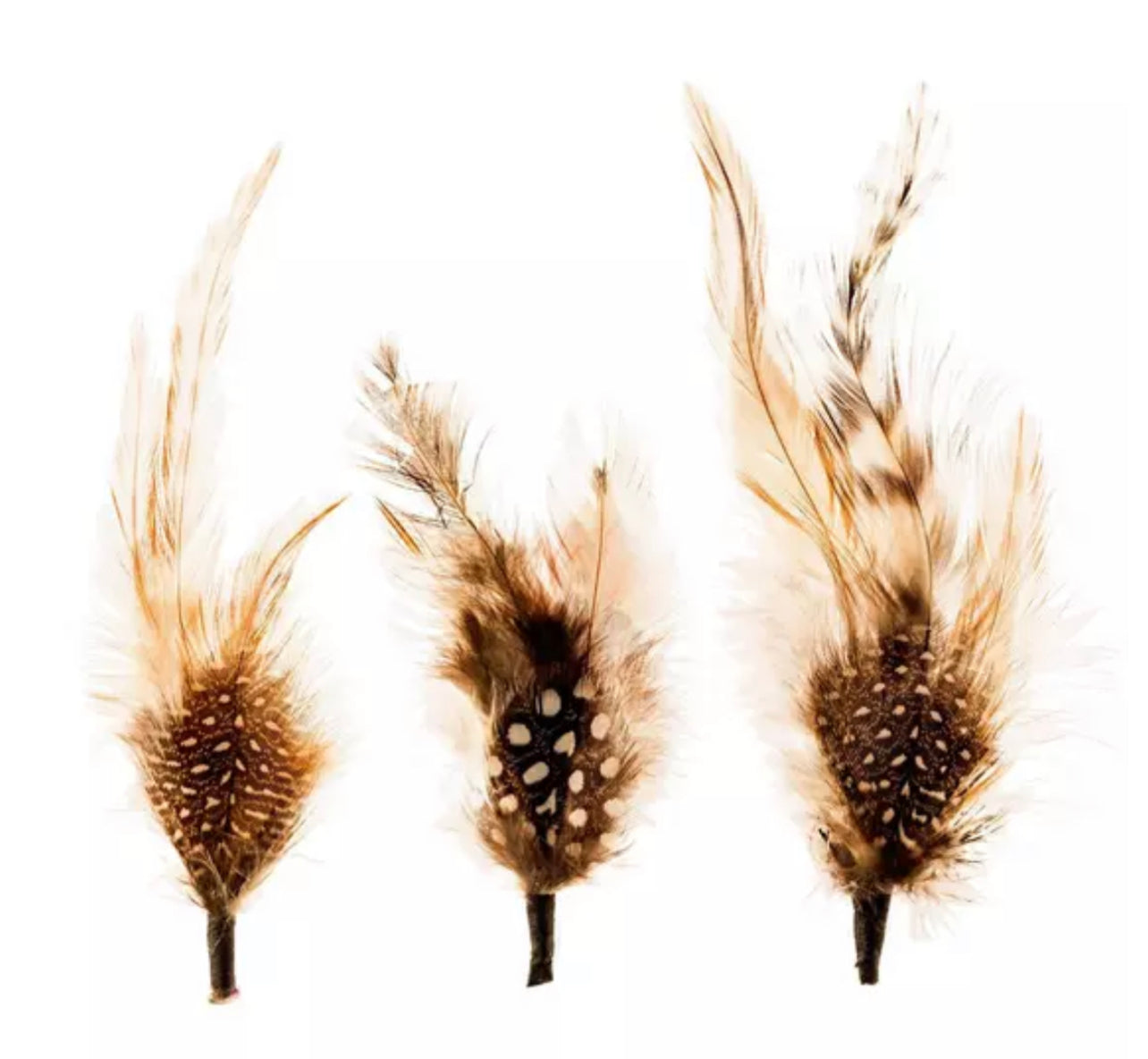 Single Feathers
