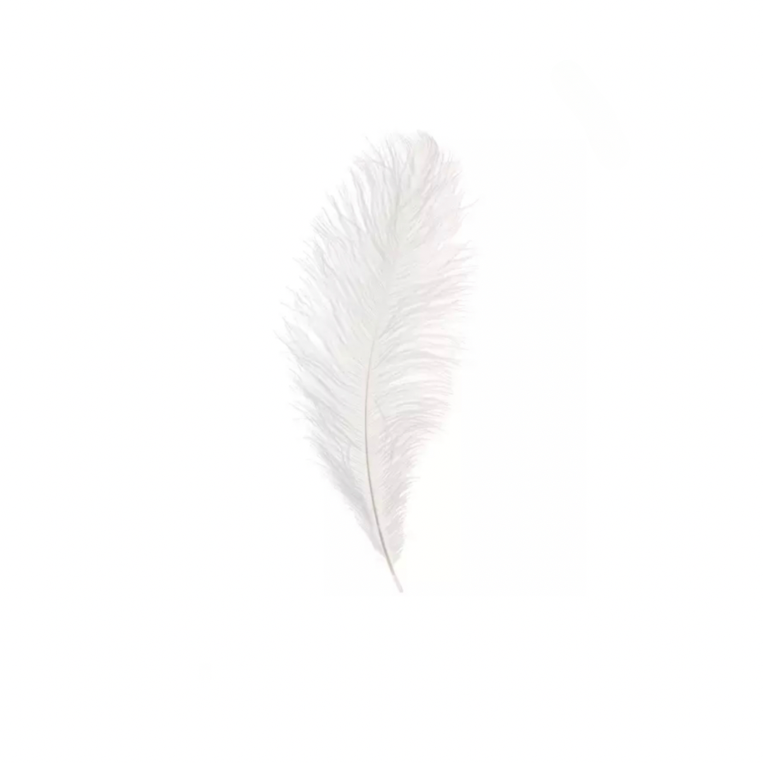 Single Feathers