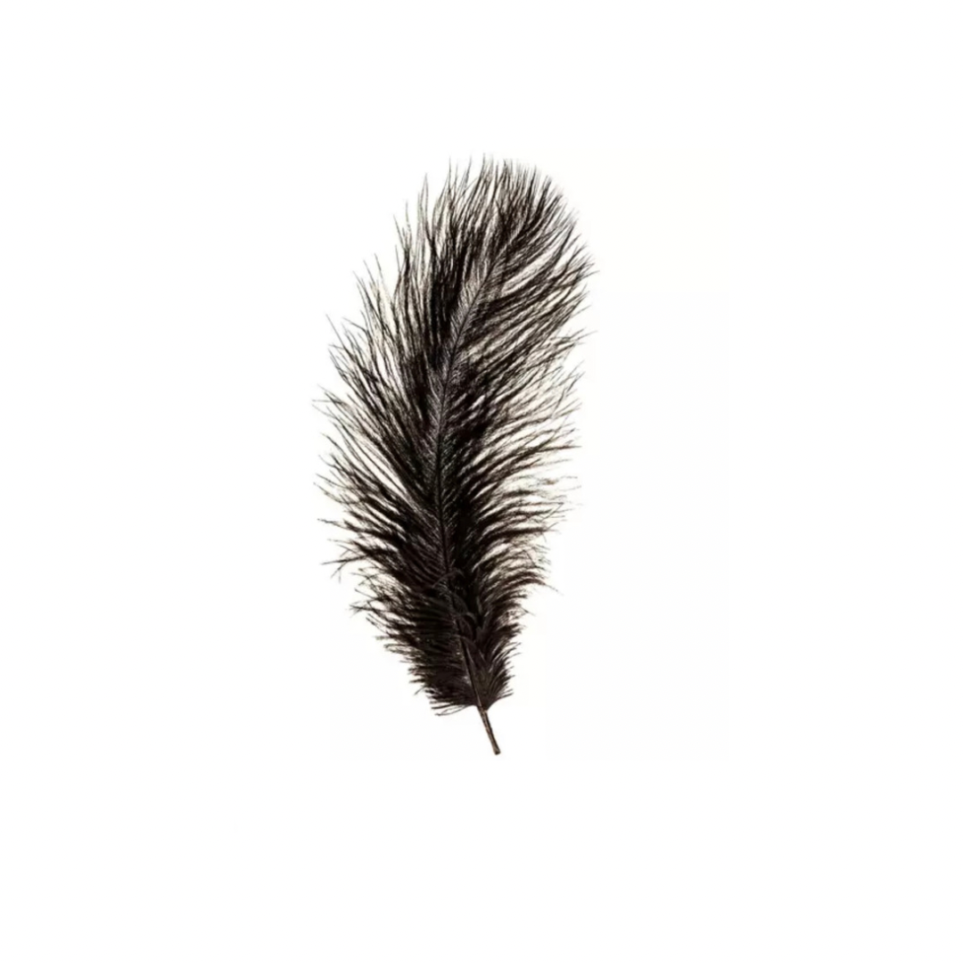 Single Feathers