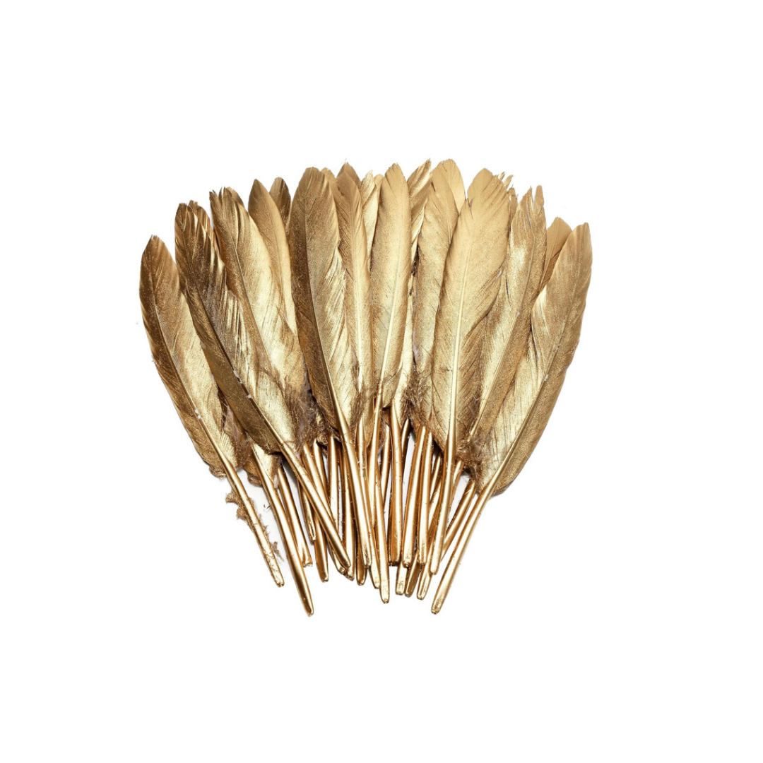 Single Feathers