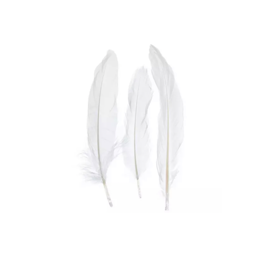 Single Feathers