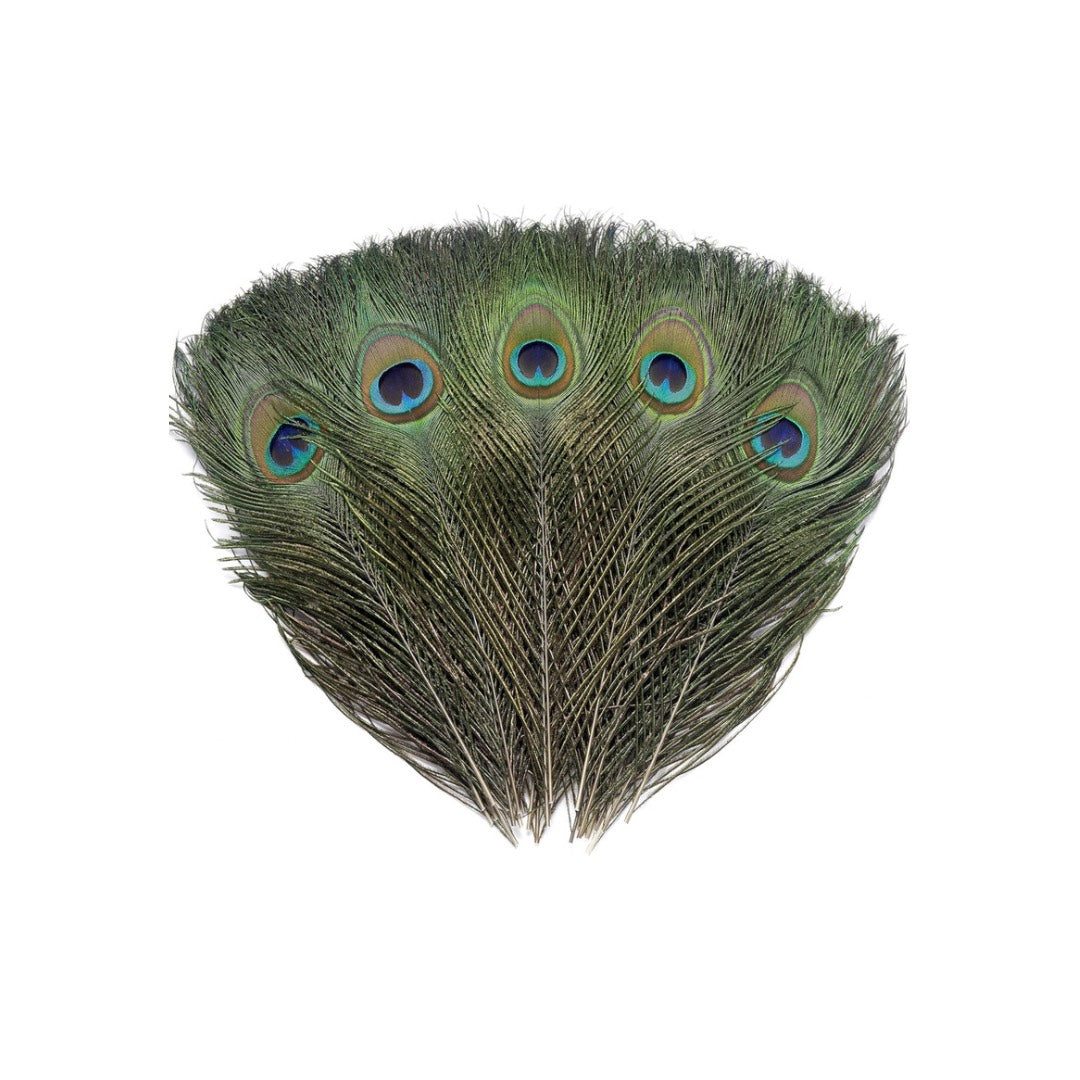 Single Feathers