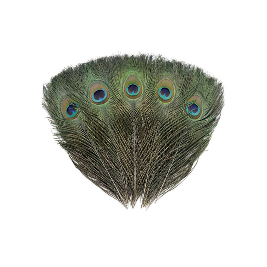 Single Feathers