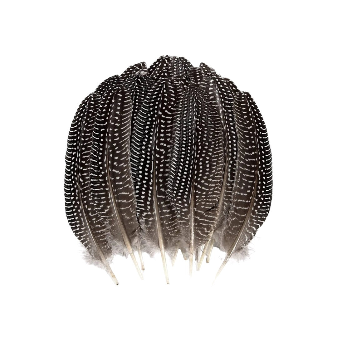 Single Feathers