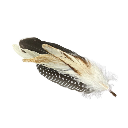 Feather Bundles