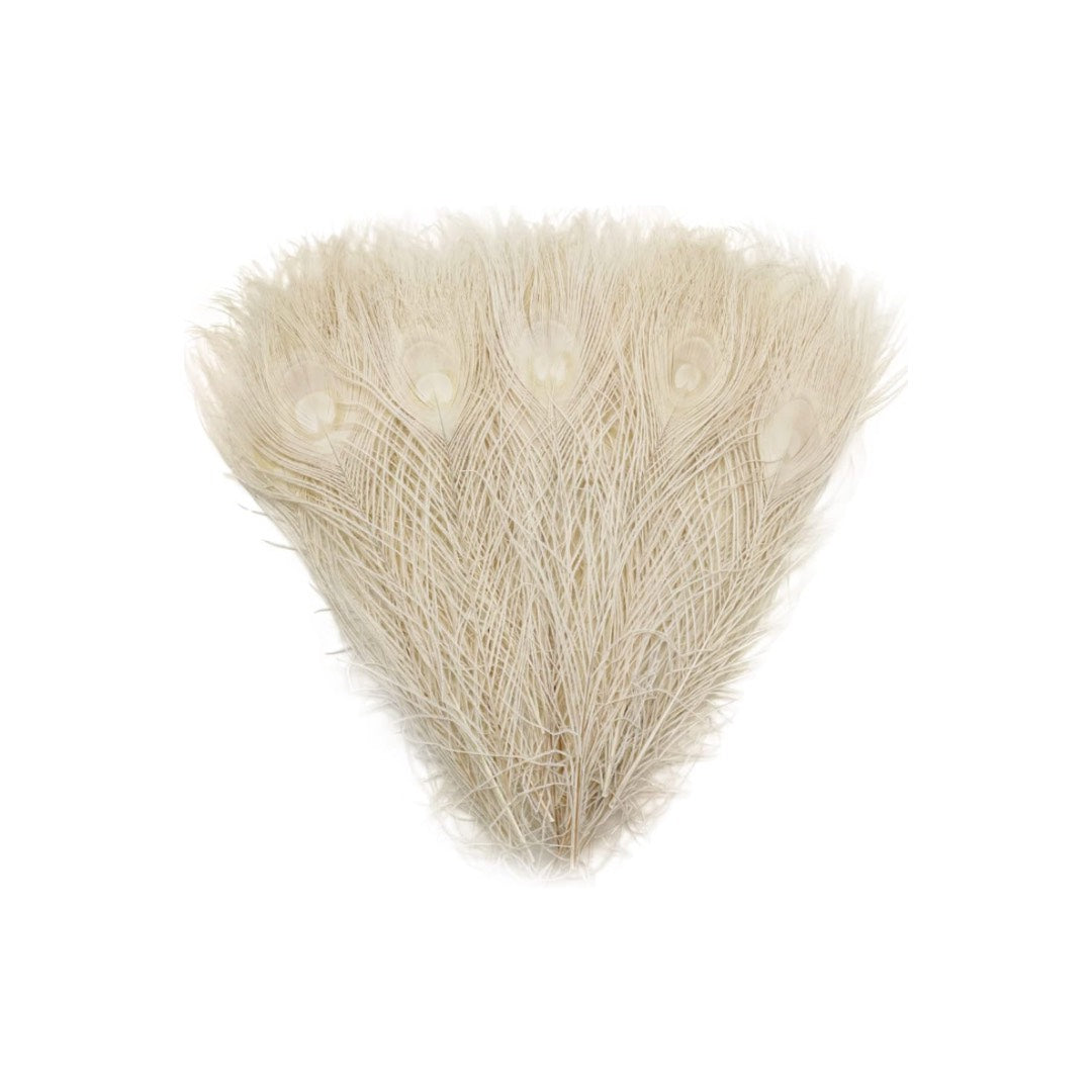 Single Feathers