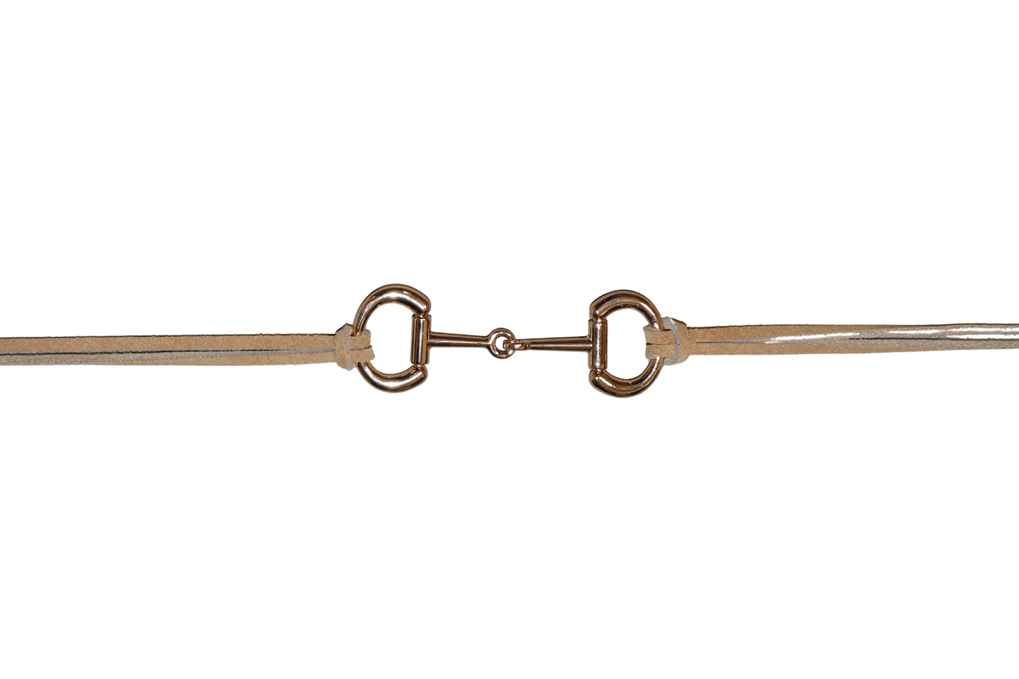 Horse Bit Band