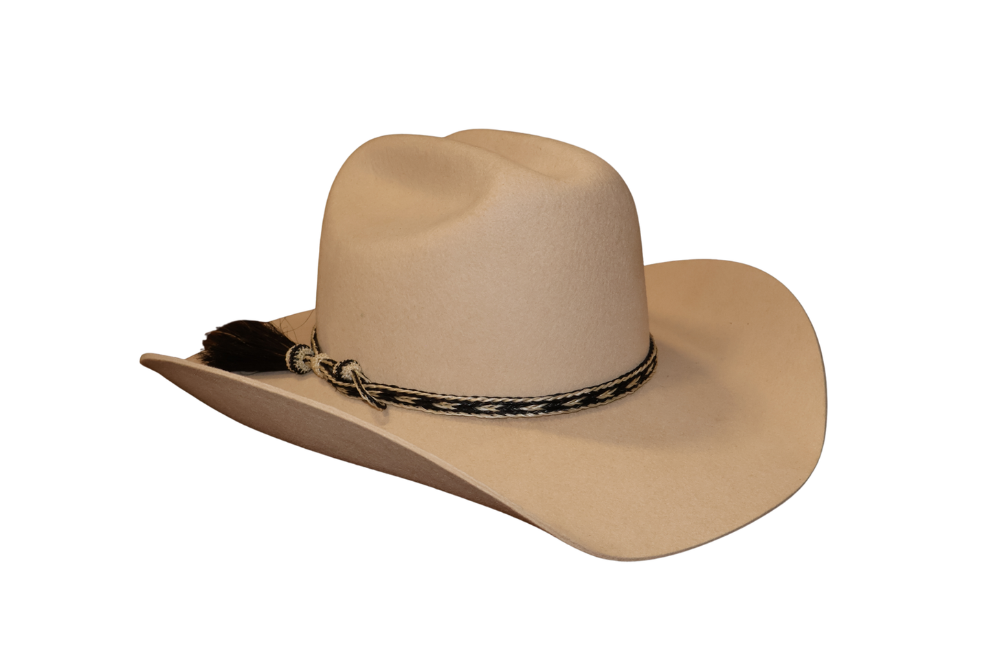 Horsehair Band