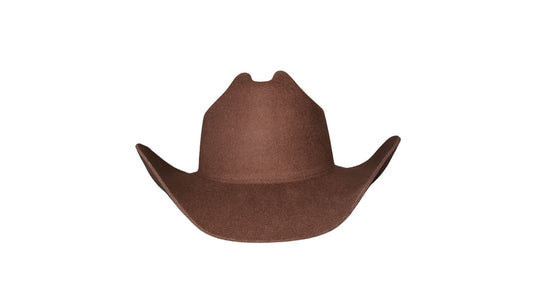 Cowboy Curved Brim (Brown)