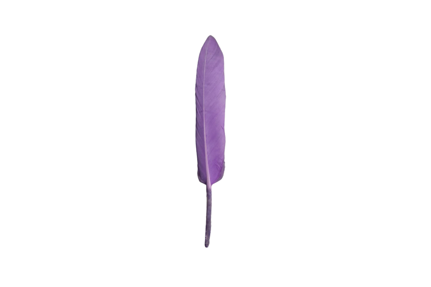 Single Feathers