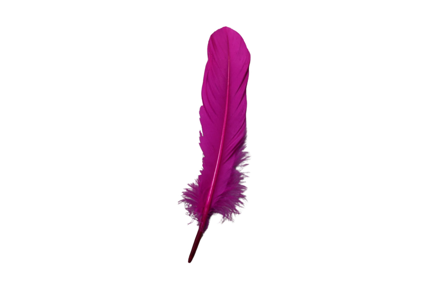 Single Feathers