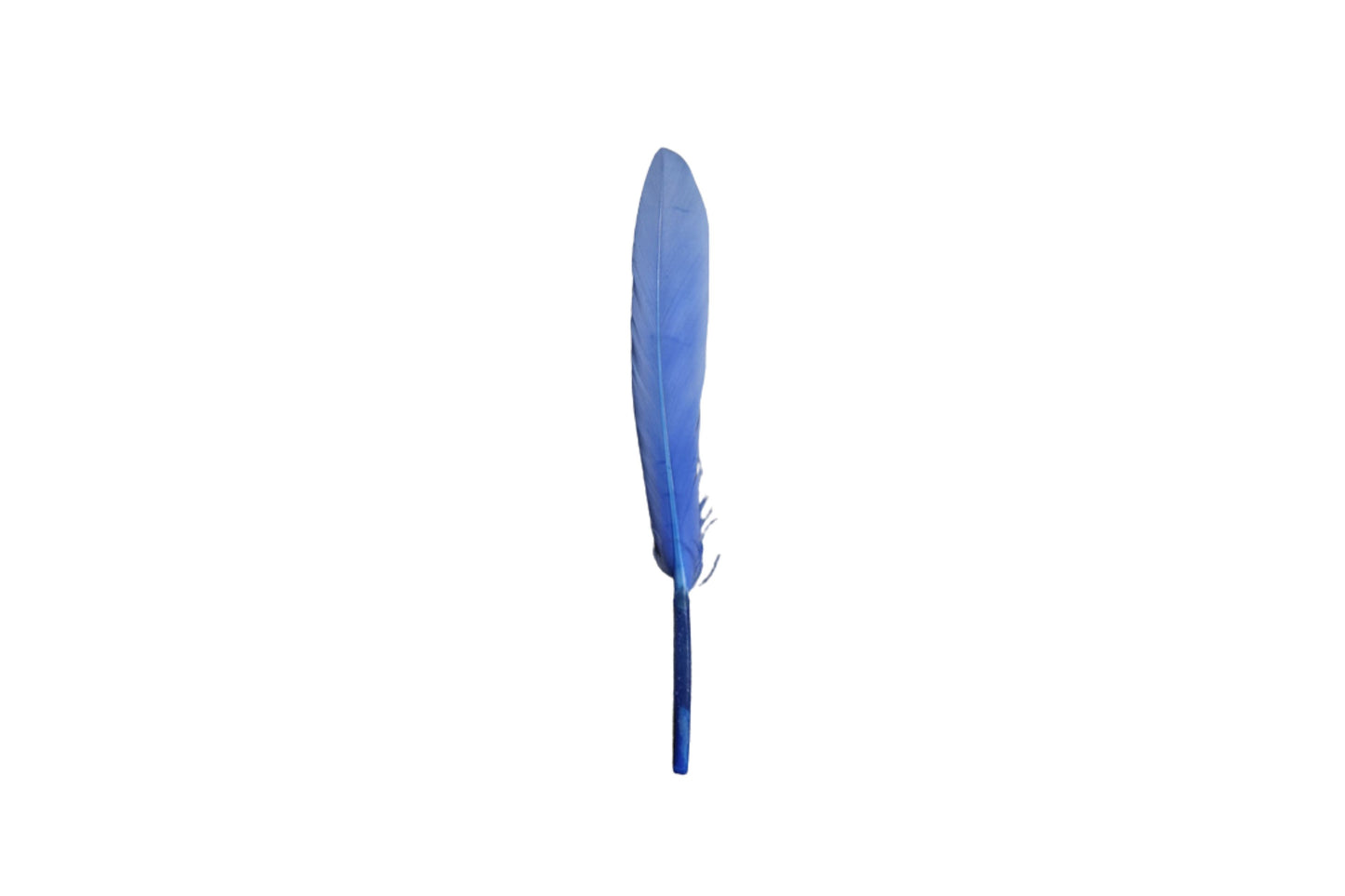 Single Feathers