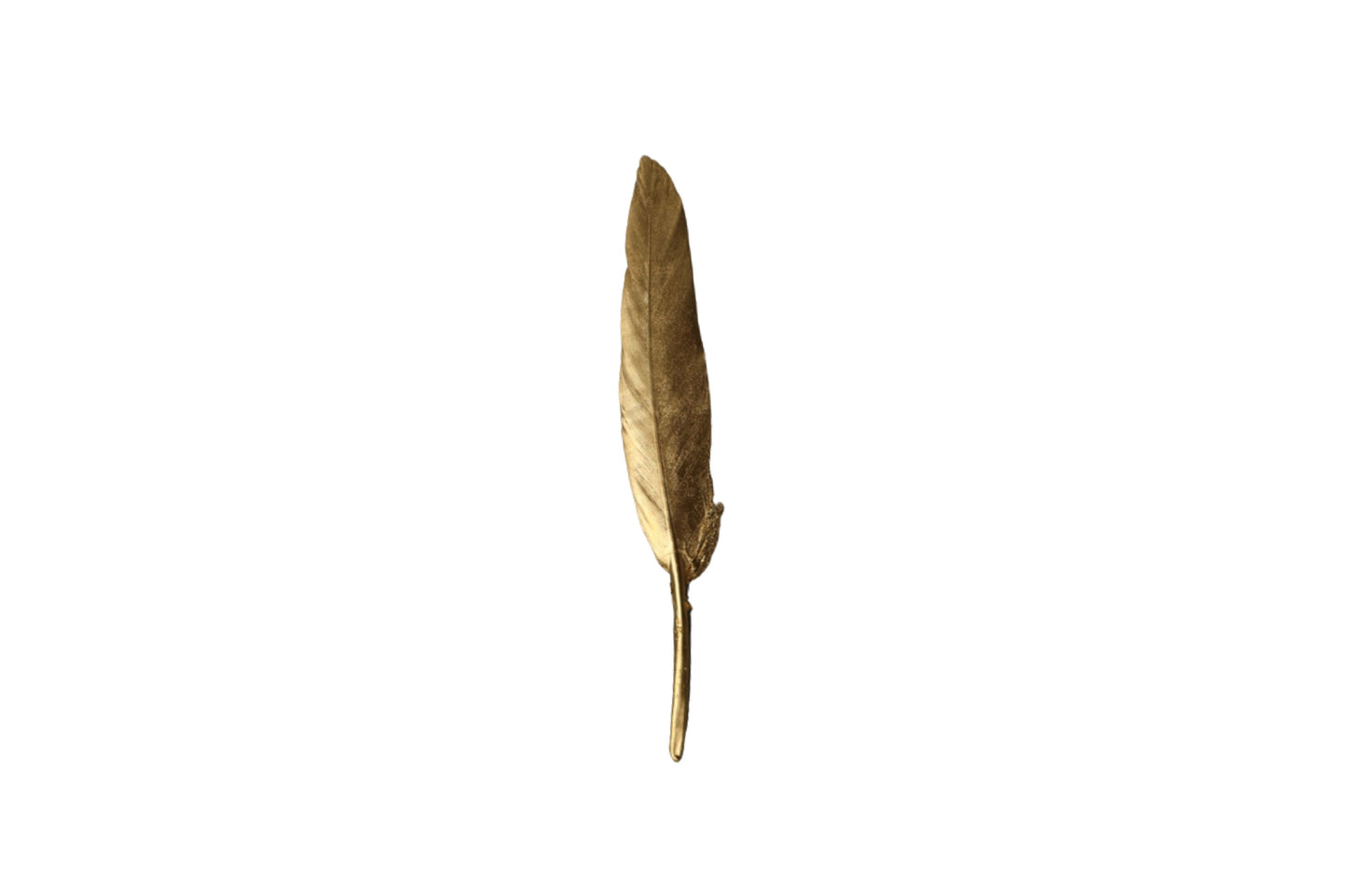 Single Feathers