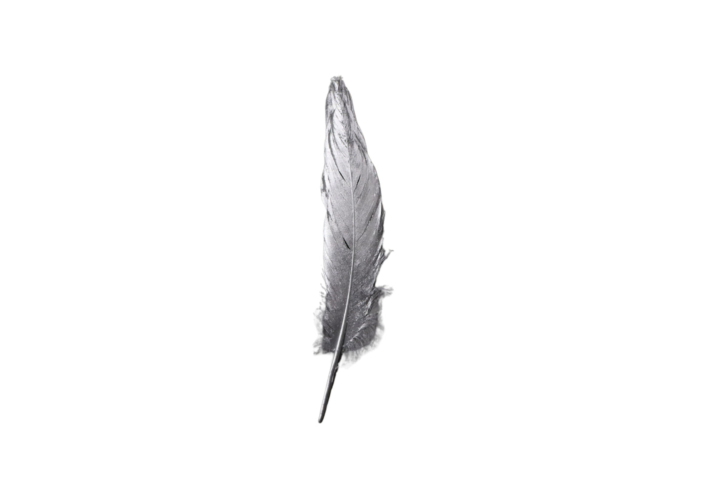 Single Feathers