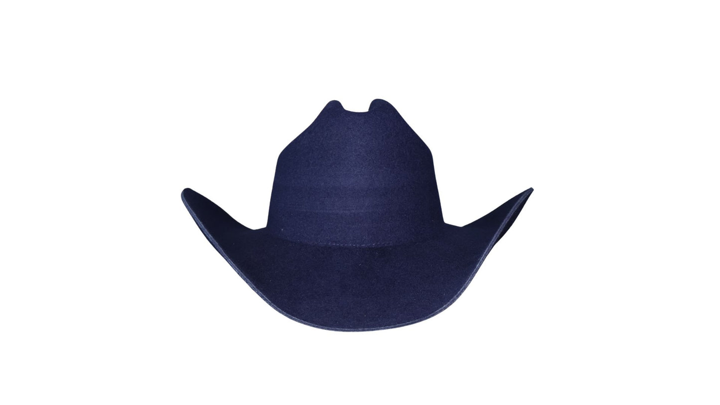 Cowboy Curved Brim (Navy)