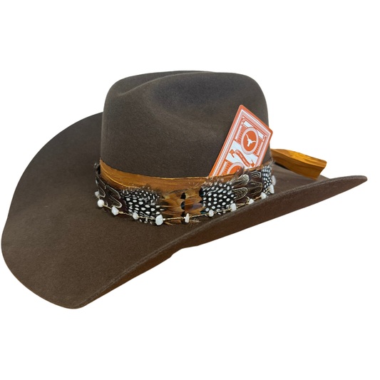Texas Longhorns "Gameday"